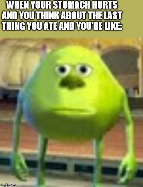 Sully Wazowski | WHEN YOUR STOMACH HURTS AND YOU THINK ABOUT THE LAST THING YOU ATE AND YOU'RE LIKE: | image tagged in sully wazowski | made w/ Imgflip meme maker