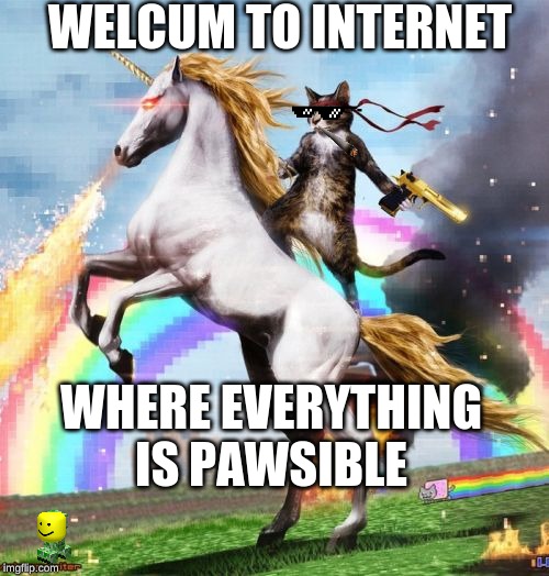 Welcome To The Internets | WELCUM TO INTERNET; WHERE EVERYTHING IS PAWSIBLE | image tagged in memes,welcome to the internets | made w/ Imgflip meme maker