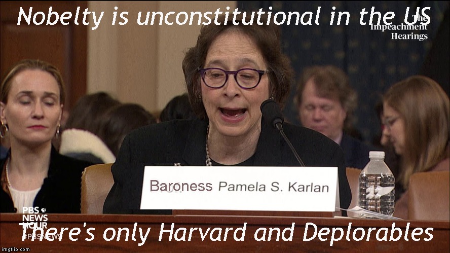 Nobelty is unconstitutional in the US Baroness There's only Harvard and Deplorables | made w/ Imgflip meme maker