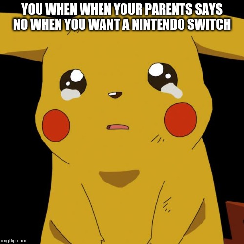 Pikachu crying | YOU WHEN WHEN YOUR PARENTS SAYS NO WHEN YOU WANT A NINTENDO SWITCH | image tagged in pikachu crying | made w/ Imgflip meme maker