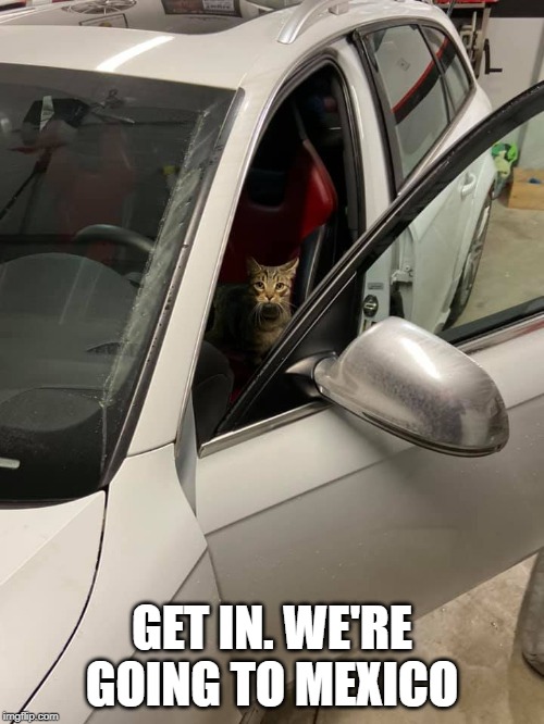 GET IN. WE'RE GOING TO MEXICO | made w/ Imgflip meme maker