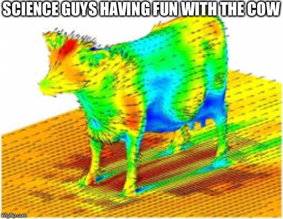 The aerodynamic of a cow | SCIENCE GUYS HAVING FUN WITH THE COW | image tagged in science,bill nye,guys,cow | made w/ Imgflip meme maker