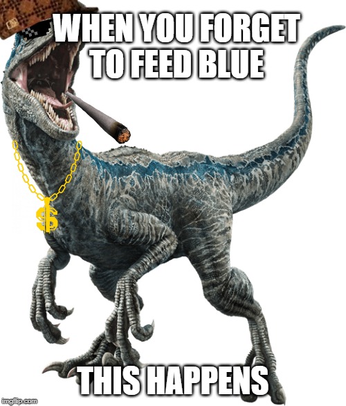 dont forget to feed blue WHEN YOU FORGET TO FEED BLUE; THIS HAPPENS image t...