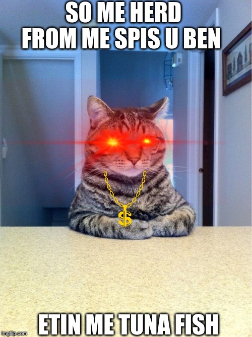 Take A Seat Cat Meme | SO ME HERD FROM ME SPIS U BEN; ETIN ME TUNA FISH | image tagged in memes,take a seat cat | made w/ Imgflip meme maker