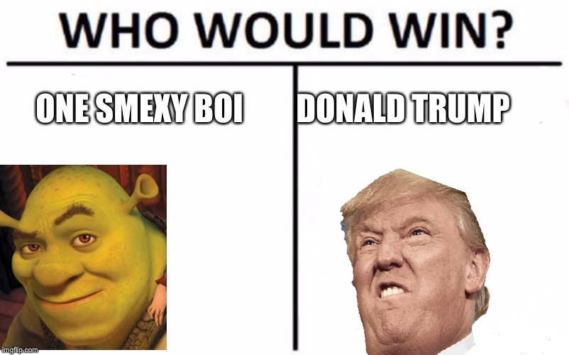 Who Would Win? | ONE SMEXY BOI; DONALD TRUMP | image tagged in memes,who would win | made w/ Imgflip meme maker