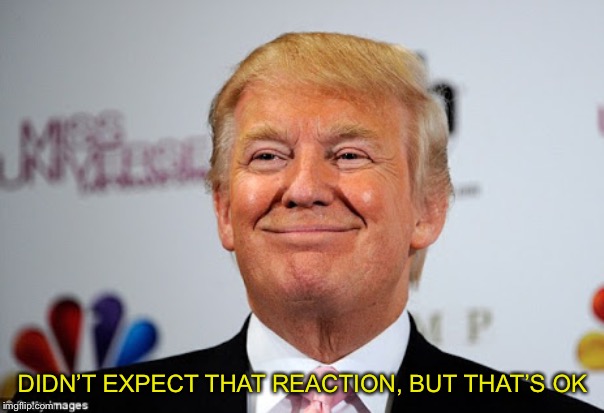 Donald trump approves | DIDN’T EXPECT THAT REACTION, BUT THAT’S OK | image tagged in donald trump approves | made w/ Imgflip meme maker