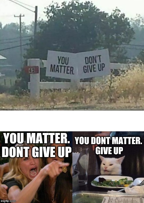 YOU MATTER. DONT GIVE UP; YOU DONT MATTER.
 GIVE UP | image tagged in memes,woman yelling at cat | made w/ Imgflip meme maker