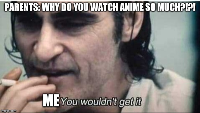 You wouldn't get it | PARENTS: WHY DO YOU WATCH ANIME SO MUCH?!?! ME | image tagged in you wouldn't get it | made w/ Imgflip meme maker