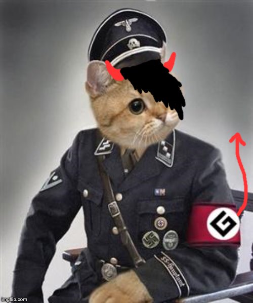 Grammar Nazi Cat | image tagged in grammar nazi cat | made w/ Imgflip meme maker