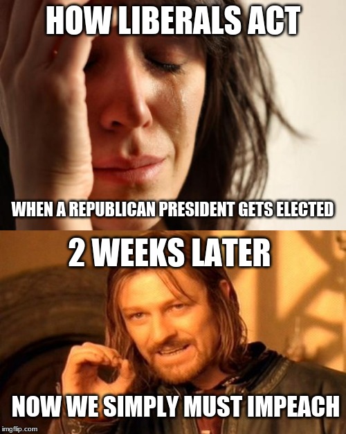 HOW LIBERALS ACT; WHEN A REPUBLICAN PRESIDENT GETS ELECTED; 2 WEEKS LATER; NOW WE SIMPLY MUST IMPEACH | image tagged in memes,first world problems,one does not simply | made w/ Imgflip meme maker