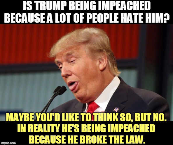 A career criminal is brought to justice. | IS TRUMP BEING IMPEACHED BECAUSE A LOT OF PEOPLE HATE HIM? MAYBE YOU'D LIKE TO THINK SO, BUT NO. 
IN REALITY HE'S BEING IMPEACHED 
BECAUSE HE BROKE THE LAW. | image tagged in trump dumbass look,trump,impeach,hatred,lawbreaking,criminal | made w/ Imgflip meme maker