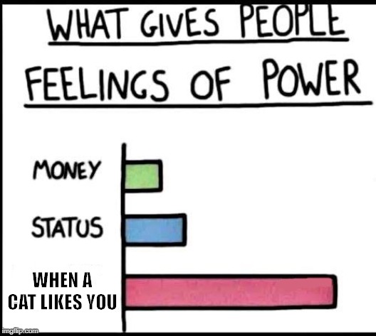 Power bar graph | WHEN A CAT LIKES YOU | image tagged in power bar graph | made w/ Imgflip meme maker