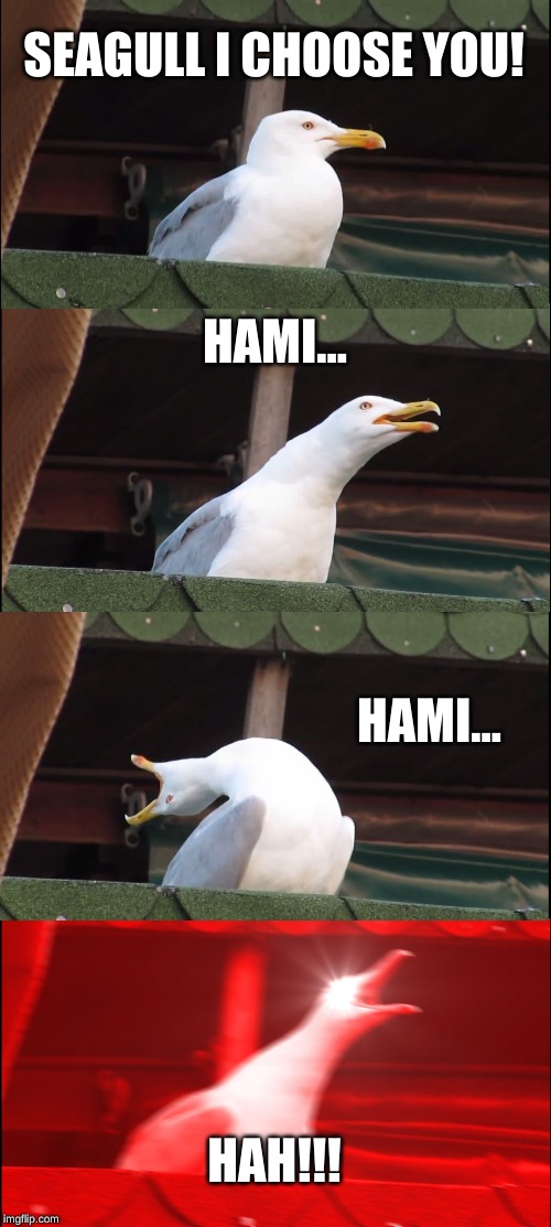 Inhaling Seagull | SEAGULL I CHOOSE YOU! HAMI... HAMI... HAH!!! | image tagged in memes,inhaling seagull | made w/ Imgflip meme maker