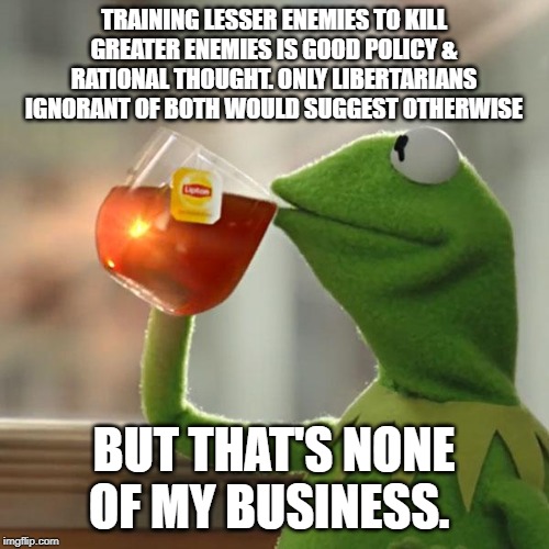 But That's None Of My Business Meme | TRAINING LESSER ENEMIES TO KILL GREATER ENEMIES IS GOOD POLICY & RATIONAL THOUGHT. ONLY LIBERTARIANS IGNORANT OF BOTH WOULD SUGGEST OTHERWIS | image tagged in memes,but thats none of my business,kermit the frog | made w/ Imgflip meme maker