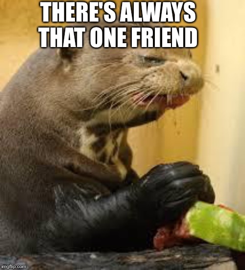 Disgusted Otter |  THERE'S ALWAYS THAT ONE FRIEND | image tagged in disgusted otter | made w/ Imgflip meme maker