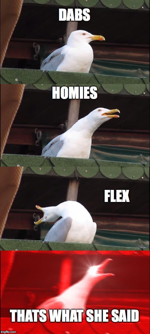 Inhaling Seagull | DABS; HOMIES; FLEX; THATS WHAT SHE SAID | image tagged in memes,inhaling seagull | made w/ Imgflip meme maker