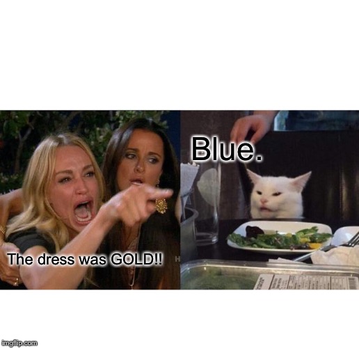 Woman Yelling At Cat Meme | Blue. The dress was GOLD!! | image tagged in memes,woman yelling at cat | made w/ Imgflip meme maker