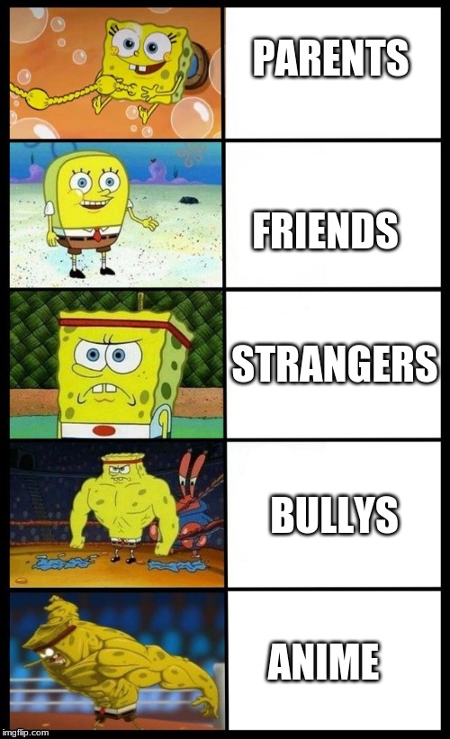 From start to end | PARENTS; FRIENDS; STRANGERS; BULLYS; ANIME | image tagged in life,bullshit | made w/ Imgflip meme maker