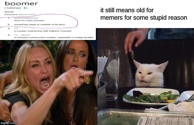 Woman Yelling At Cat Meme | it still means old for memers for some stupid reason | image tagged in memes,woman yelling at cat | made w/ Imgflip meme maker