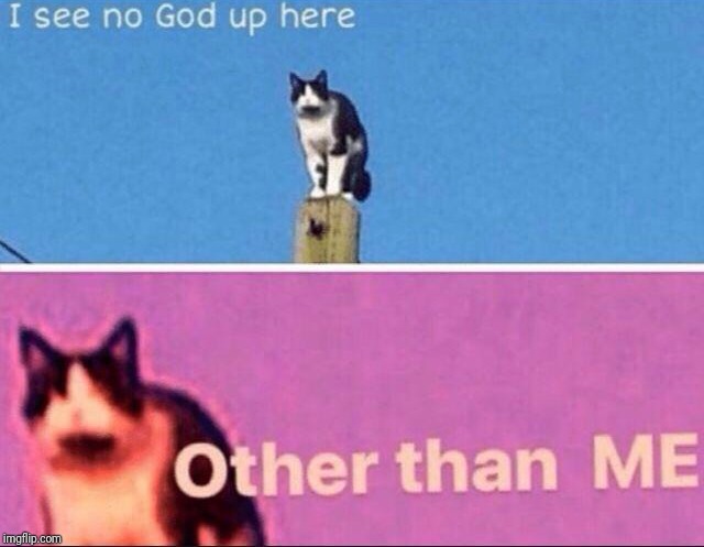 No god other than me cat | image tagged in no god other than me cat | made w/ Imgflip meme maker