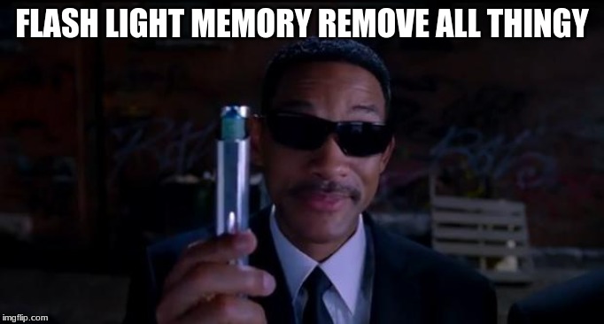 men in black meme | FLASH LIGHT MEMORY REMOVE ALL THINGY | image tagged in men in black meme | made w/ Imgflip meme maker