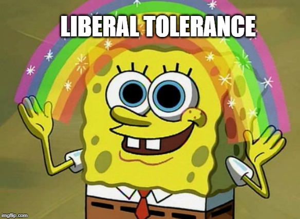 Imagination Spongebob Meme | LIBERAL TOLERANCE | image tagged in memes,imagination spongebob | made w/ Imgflip meme maker