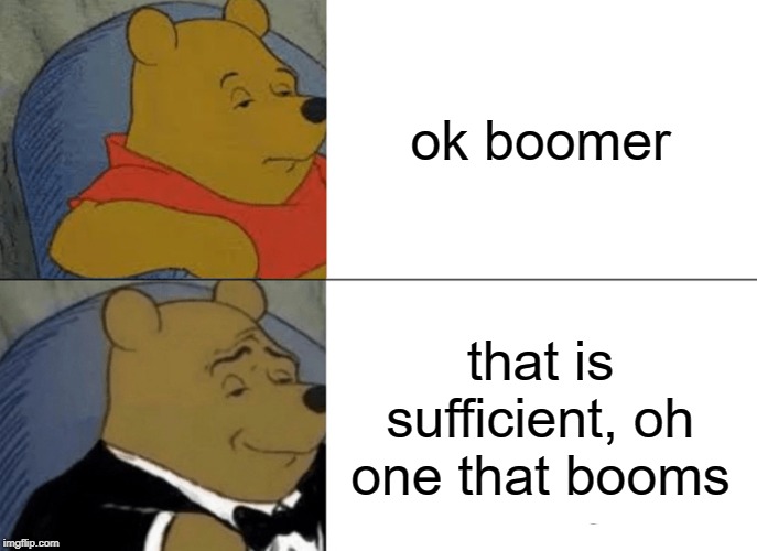 Tuxedo Winnie The Pooh | ok boomer; that is sufficient, oh one that booms | image tagged in memes,tuxedo winnie the pooh | made w/ Imgflip meme maker