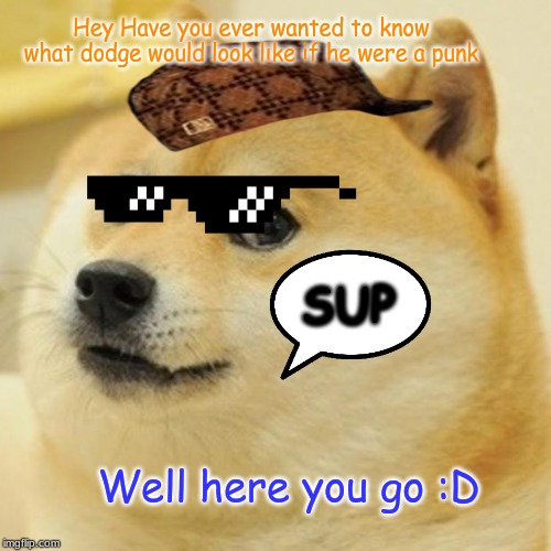 Doge | Hey Have you ever wanted to know what dodge would look like if he were a punk; SUP; Well here you go :D | image tagged in memes,doge | made w/ Imgflip meme maker