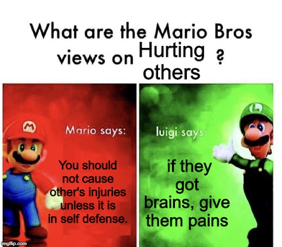 Mario Bros Views | Hurting others; You should not cause other's injuries unless it is in self defense. if they got brains, give them pains | image tagged in mario bros views | made w/ Imgflip meme maker