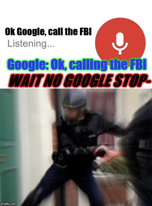 WAIT GOOGLE STOP | Ok Google, call the FBI; Google: Ok, calling the FBI; WAIT NO GOOGLE STOP- | image tagged in ok google,fbi door breach,why is the fbi here,fbi,google,stop | made w/ Imgflip meme maker