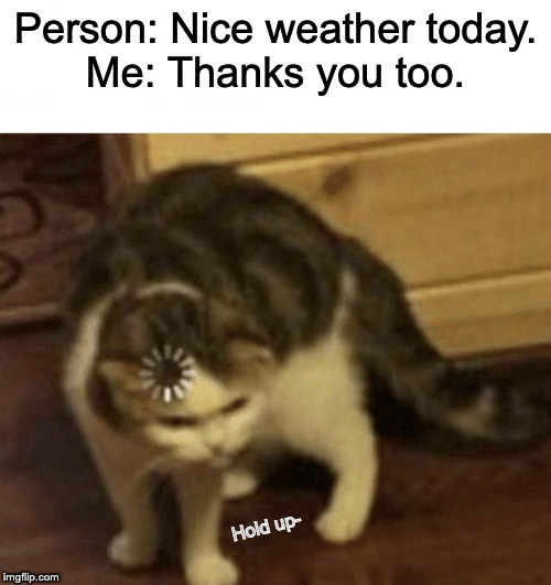 Cat Loading template | Person: Nice weather today.
Me: Thanks you too. Hold up- | image tagged in cat loading template | made w/ Imgflip meme maker