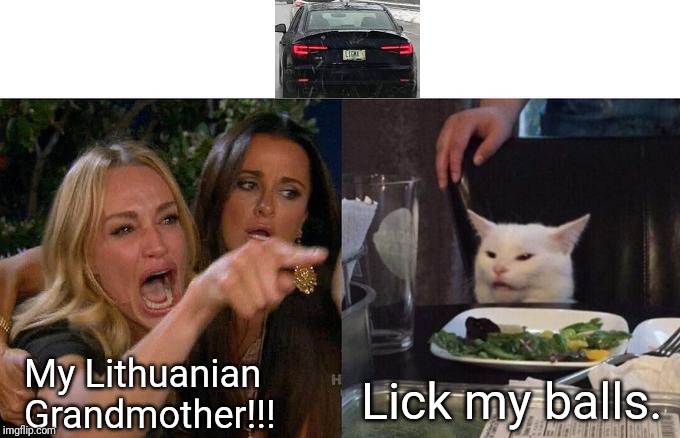 Nuff said. Meow. | My Lithuanian Grandmother!!! Lick my balls. | image tagged in memes,woman yelling at cat | made w/ Imgflip meme maker