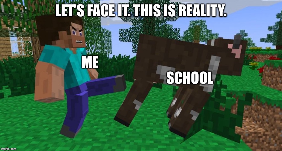 LET’S FACE IT. THIS IS REALITY. ME                                                                            SCHOOL | image tagged in minecraft,in real life | made w/ Imgflip meme maker
