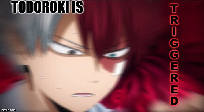 Todoroki Thinking | TODOROKI IS T
R
I
G
G
E
R
E
D | image tagged in todoroki thinking | made w/ Imgflip meme maker