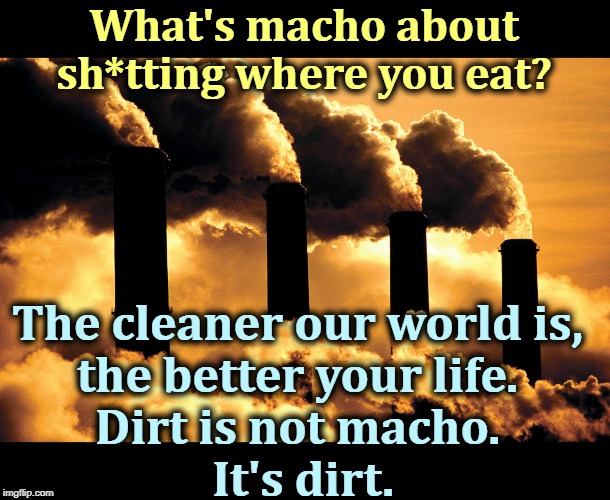 Pollution is not a test of manliness. It's a test of stupidity. | What's macho about sh*tting where you eat? The cleaner our world is, 
the better your life. 
Dirt is not macho. 
It's dirt. | image tagged in factory polluting air,clean air,clean water,environment,global warming,climate change | made w/ Imgflip meme maker