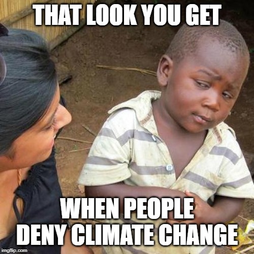 Third World Skeptical Kid Meme | THAT LOOK YOU GET; WHEN PEOPLE DENY CLIMATE CHANGE | image tagged in memes,third world skeptical kid | made w/ Imgflip meme maker