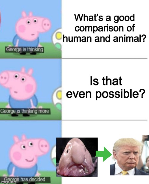 George is Thinking | What’s a good comparison of human and animal? Is that even possible? | image tagged in george is thinking,donald trump,funny,comparison,peppa pig | made w/ Imgflip meme maker