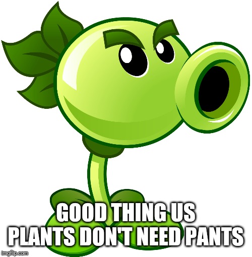 Repeater | GOOD THING US PLANTS DON'T NEED PANTS | image tagged in repeater | made w/ Imgflip meme maker