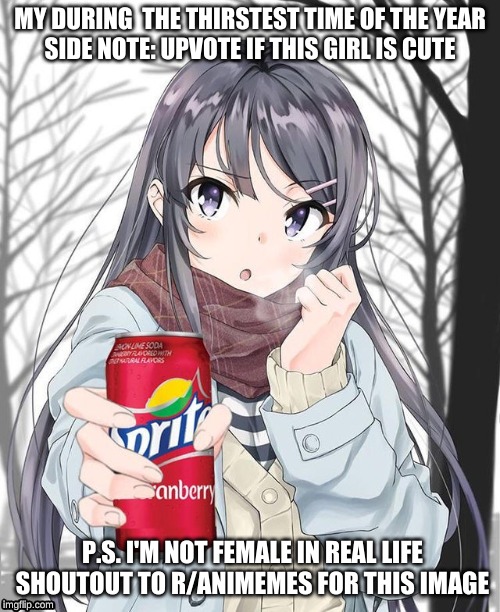 MY DURING  THE THIRSTEST TIME OF THE YEAR
SIDE NOTE: UPVOTE IF THIS GIRL IS CUTE; P.S. I'M NOT FEMALE IN REAL LIFE
SHOUTOUT TO R/ANIMEMES FOR THIS IMAGE | image tagged in memes | made w/ Imgflip meme maker