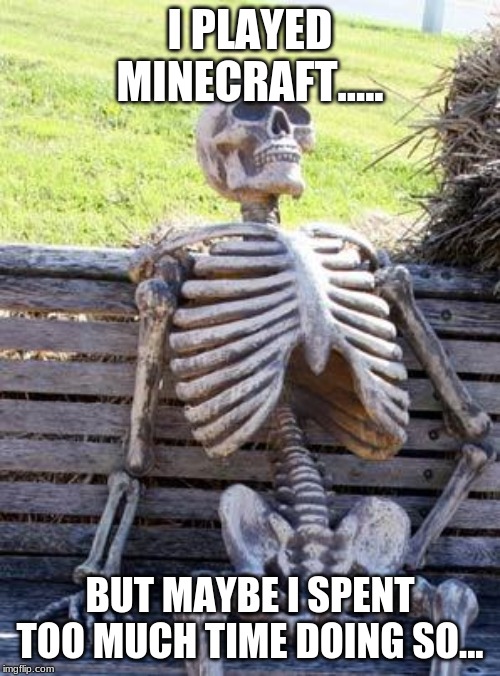 Waiting Skeleton Meme | I PLAYED MINECRAFT..... BUT MAYBE I SPENT TOO MUCH TIME DOING SO... | image tagged in memes,waiting skeleton | made w/ Imgflip meme maker