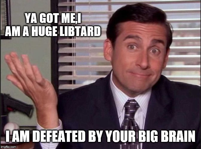 Michael Scott | YA GOT ME,I AM A HUGE LIBTARD I AM DEFEATED BY YOUR BIG BRAIN | image tagged in michael scott | made w/ Imgflip meme maker