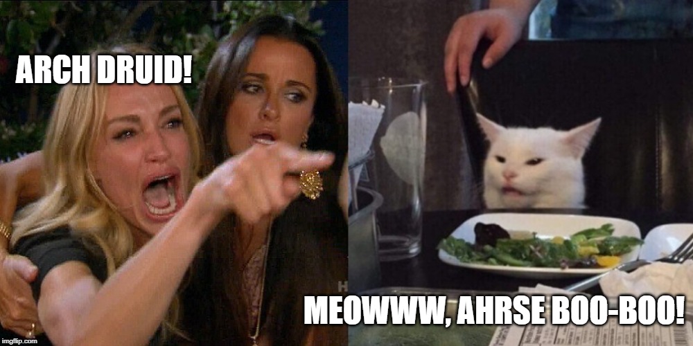 Woman yelling at cat | ARCH DRUID! MEOWWW, AHRSE BOO-BOO! | image tagged in woman yelling at cat | made w/ Imgflip meme maker