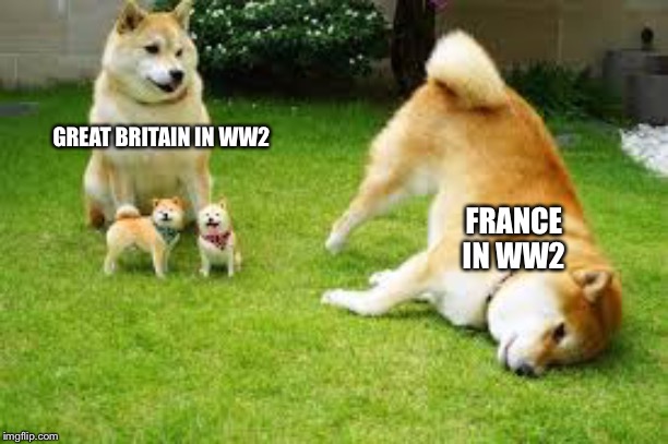 Doge fail | GREAT BRITAIN IN WW2; FRANCE IN WW2 | image tagged in doge fail | made w/ Imgflip meme maker