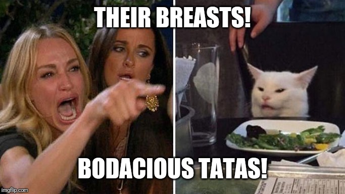 Angry lady cat | THEIR BREASTS! BODACIOUS TATAS! | image tagged in angry lady cat | made w/ Imgflip meme maker