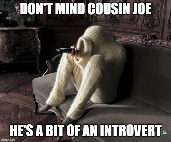 Baby it's cold outside | DON'T MIND COUSIN JOE; HE'S A BIT OF AN INTROVERT | image tagged in baby it's cold outside | made w/ Imgflip meme maker