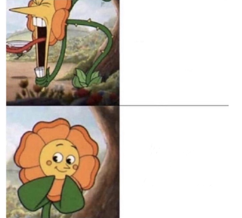 Cup head flower drake meme Blank Meme Template