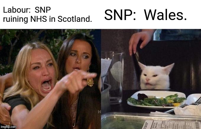Woman Yelling At Cat Meme | Labour:  SNP ruining NHS in Scotland. SNP:  Wales. | image tagged in memes,woman yelling at cat | made w/ Imgflip meme maker