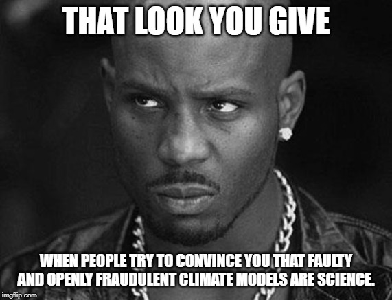 That look you give | THAT LOOK YOU GIVE WHEN PEOPLE TRY TO CONVINCE YOU THAT FAULTY AND OPENLY FRAUDULENT CLIMATE MODELS ARE SCIENCE. | image tagged in that look you give | made w/ Imgflip meme maker