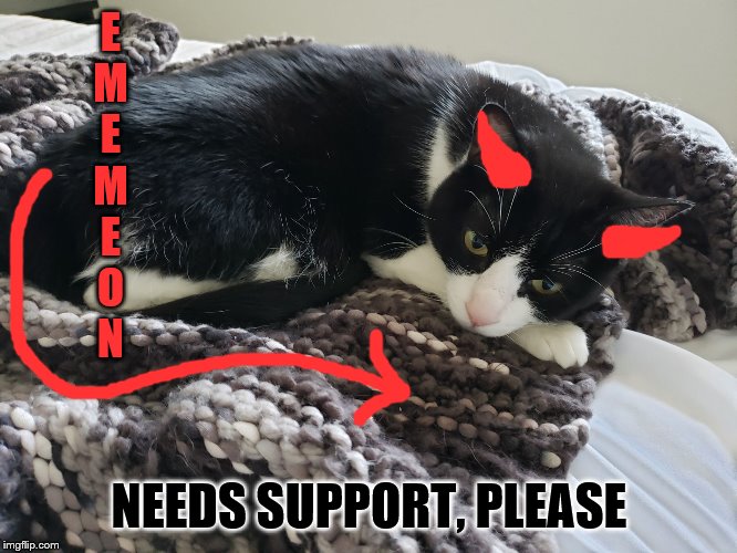Emo Cat | E
M
E
M
E
O
N; NEEDS SUPPORT, PLEASE | image tagged in emo cat | made w/ Imgflip meme maker