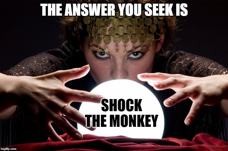 THE ANSWER YOU SEEK IS SHOCK THE MONKEY | made w/ Imgflip meme maker